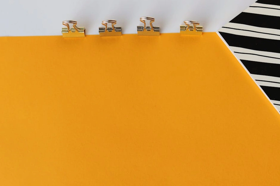 Osoba przeglądająca dokumenty w dobrze zorganizowanym segregatorze.